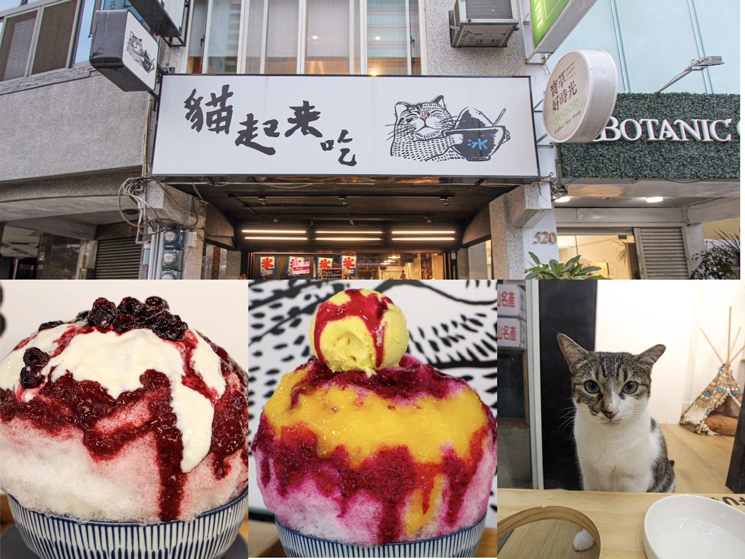 台中西區，貓起來吃!日式刨冰專賣店~也是貓咪中途之家，運氣好還能巧遇貓兒慵懶現身。