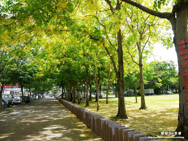 台中市崇倫公園：[台中南區]崇倫公園阿勃勒也是美得不像話。